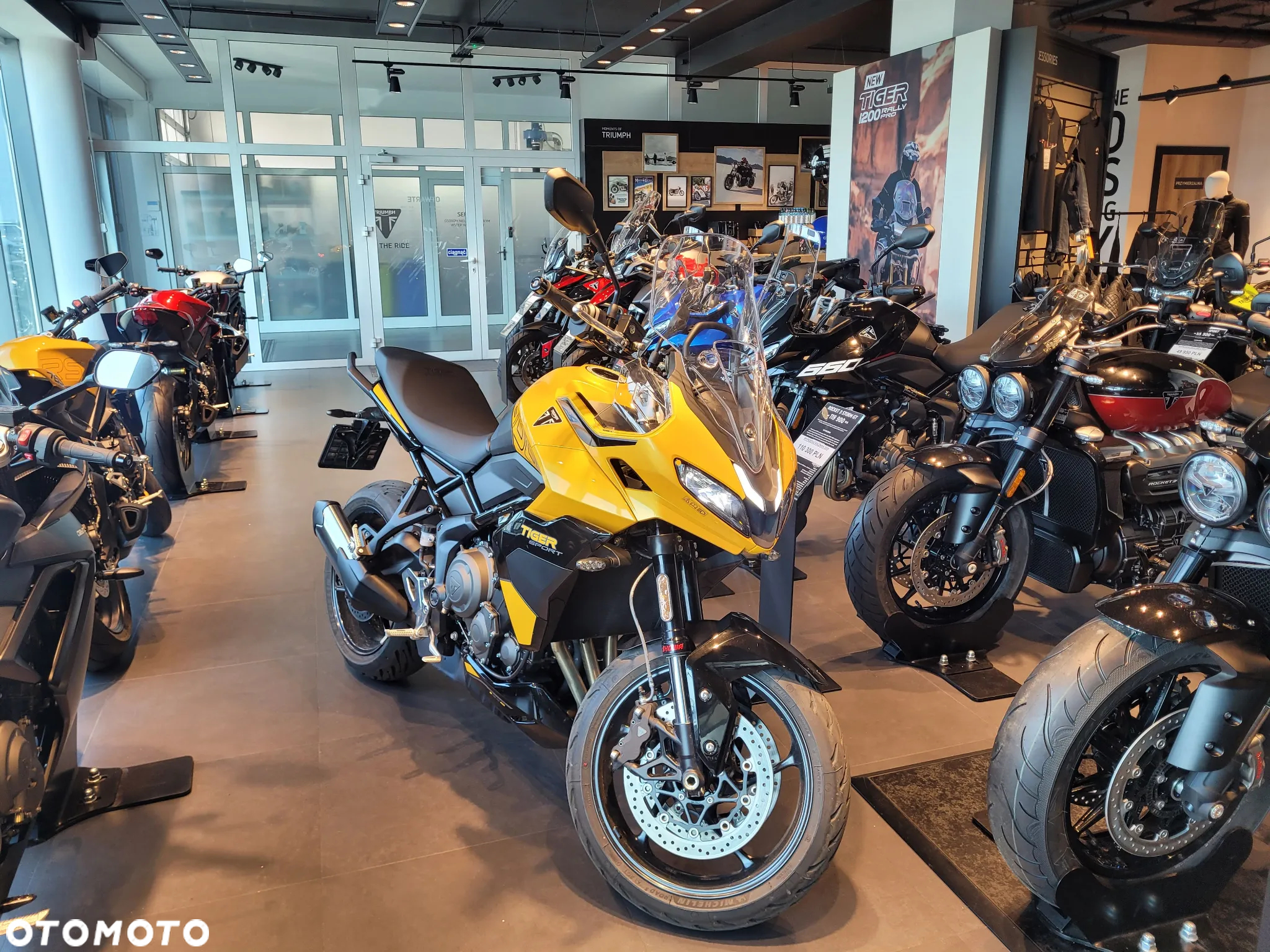 Triumph Tiger - 2