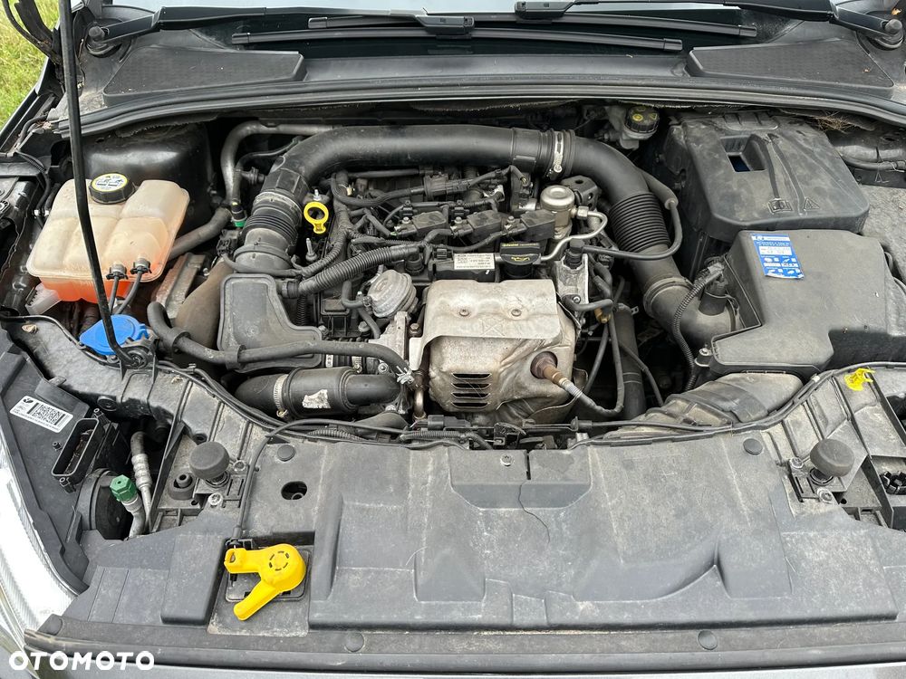 Ford Focus SW 1.0 EcoBoost Platinium X ASS - 12