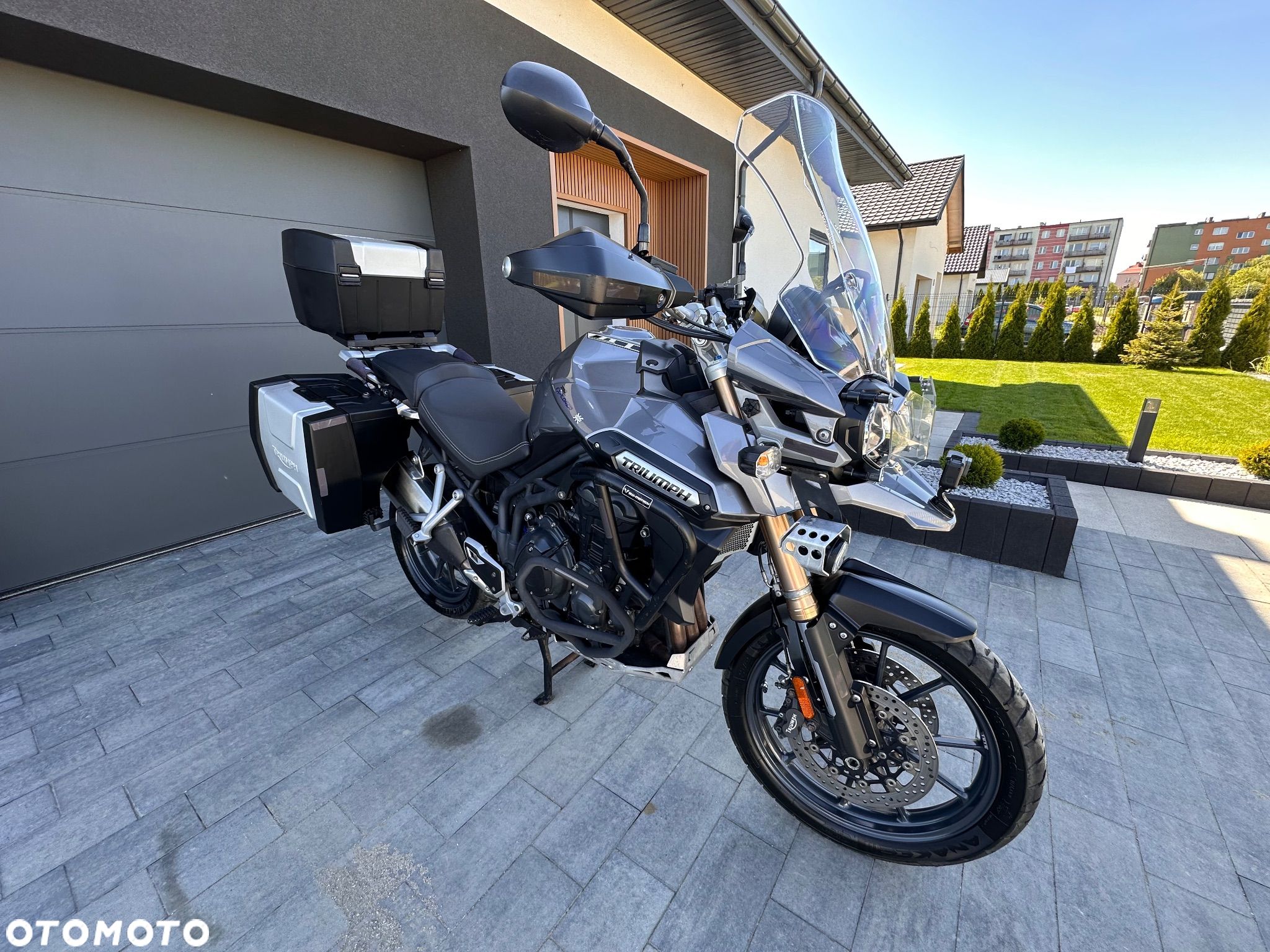 Triumph Tiger - 1