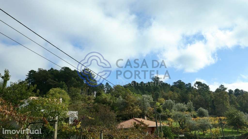 Terreno em St.ª Marinha do Zêzere - Grande imagem: 5/6