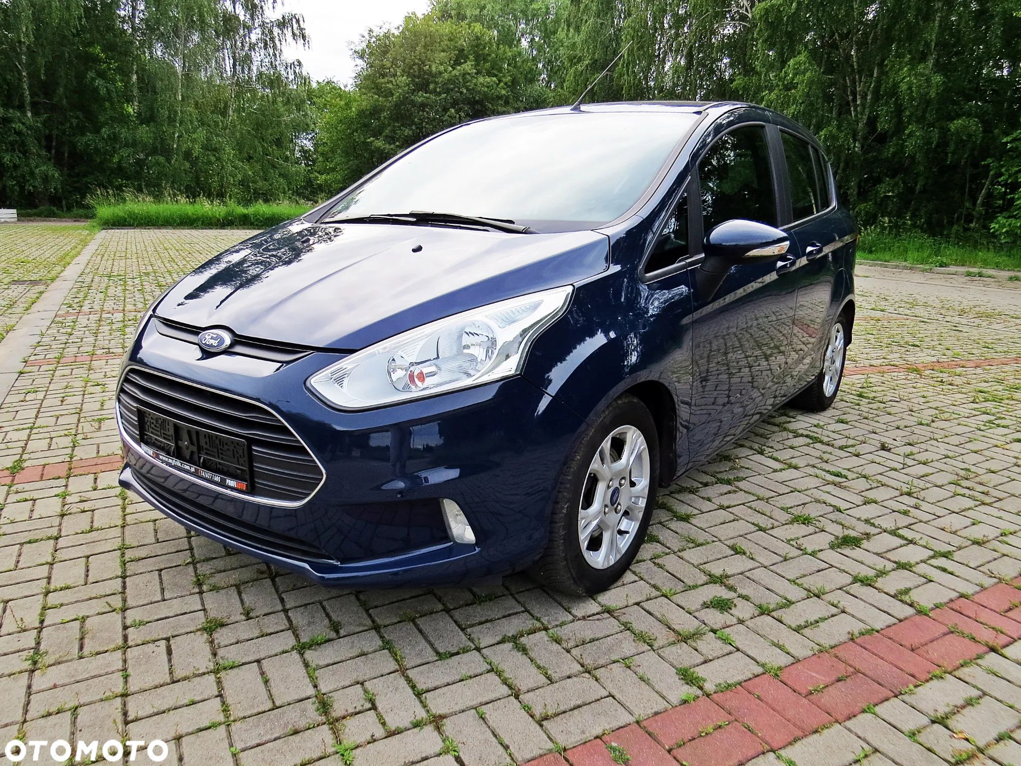 Ford B-MAX - 1