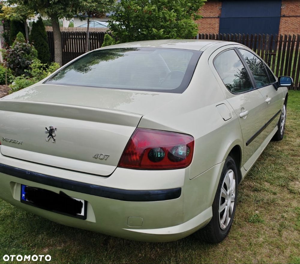 Peugeot 407 - 3