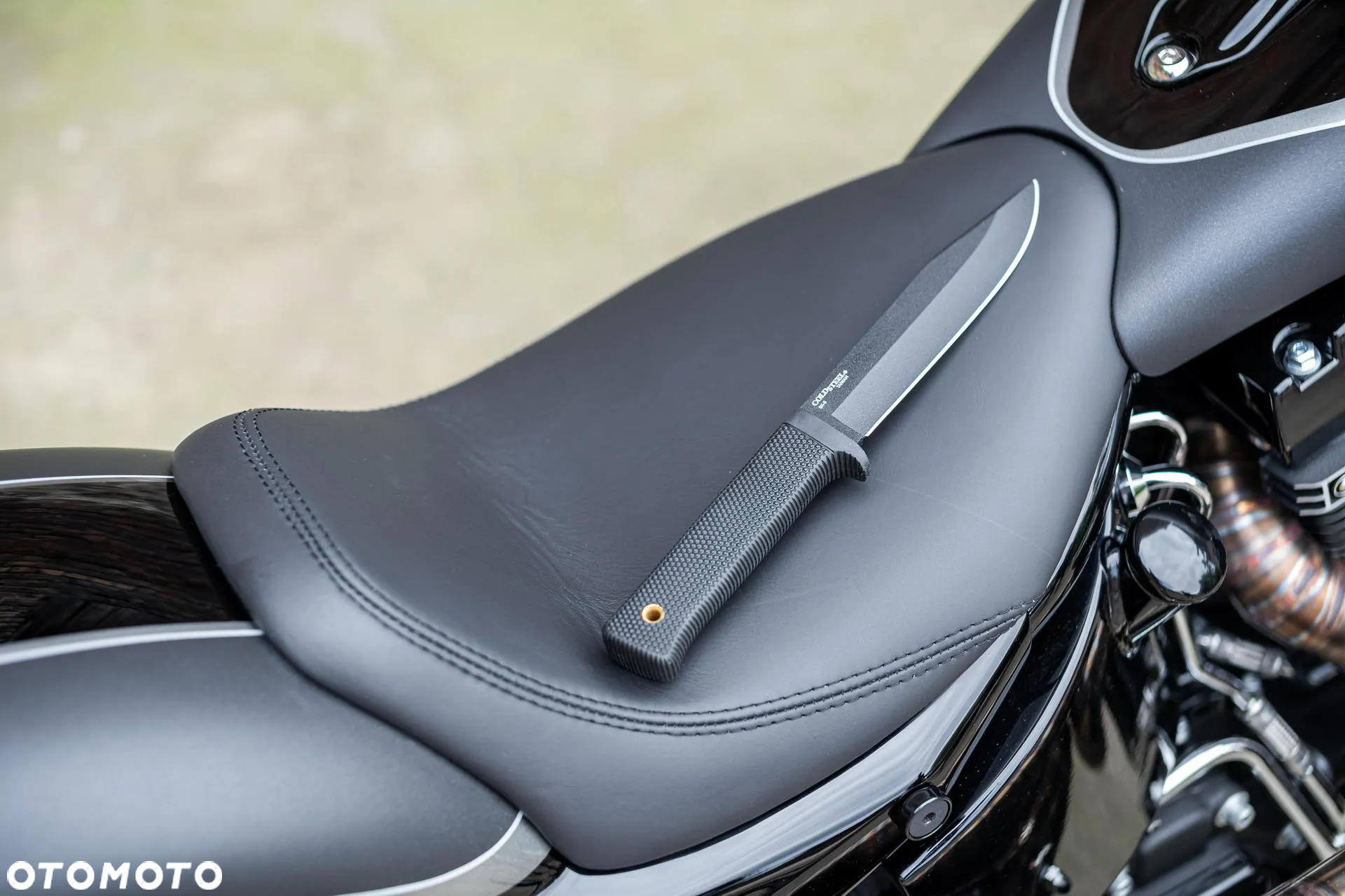 Harley-Davidson Softail Slim - 19