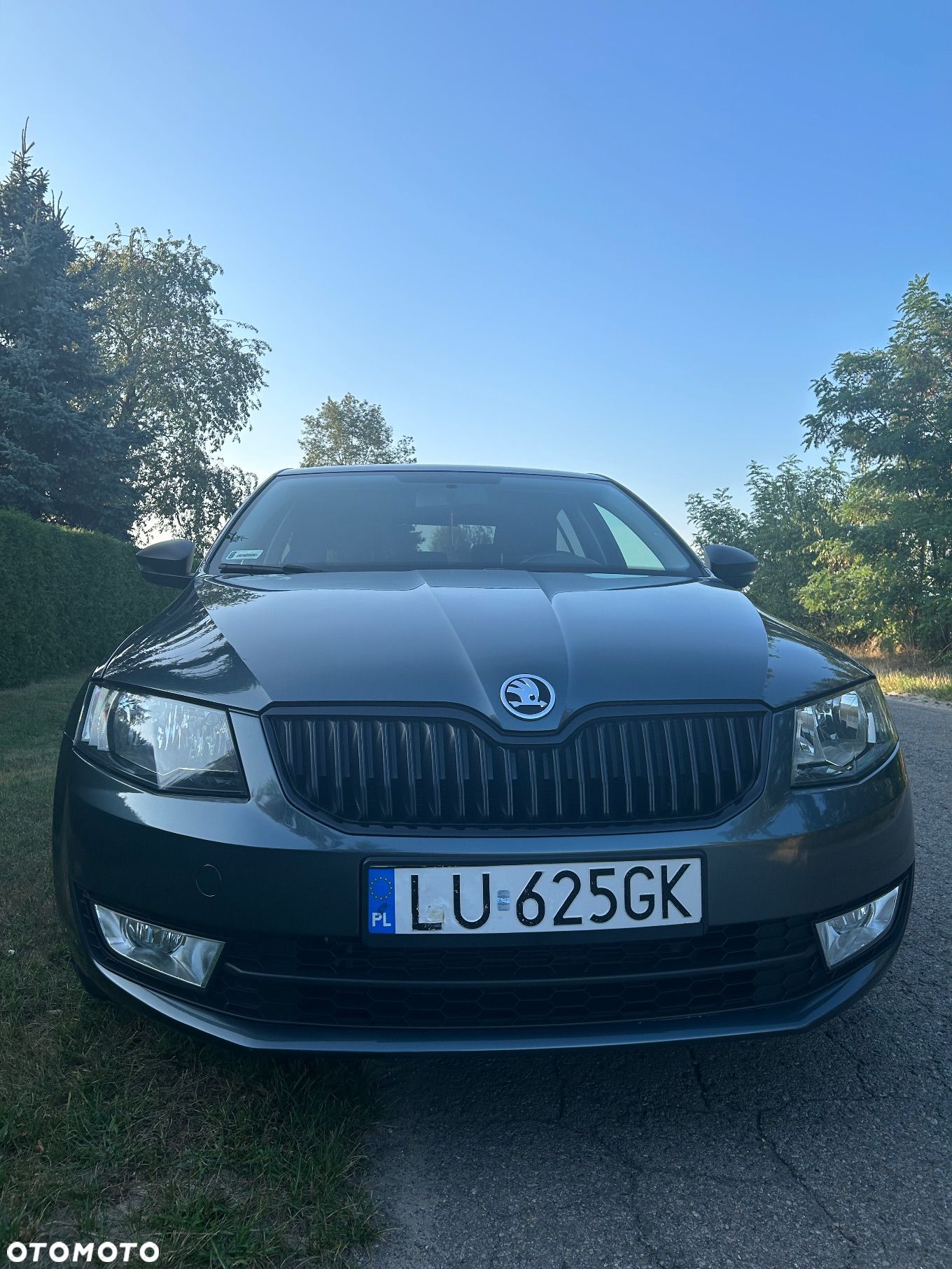 Skoda Octavia 1.4 TSI Active - 1