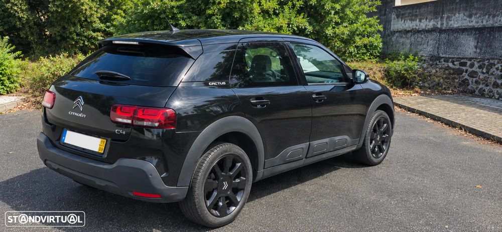 Citroen C4 Cactus 2019 photo 2