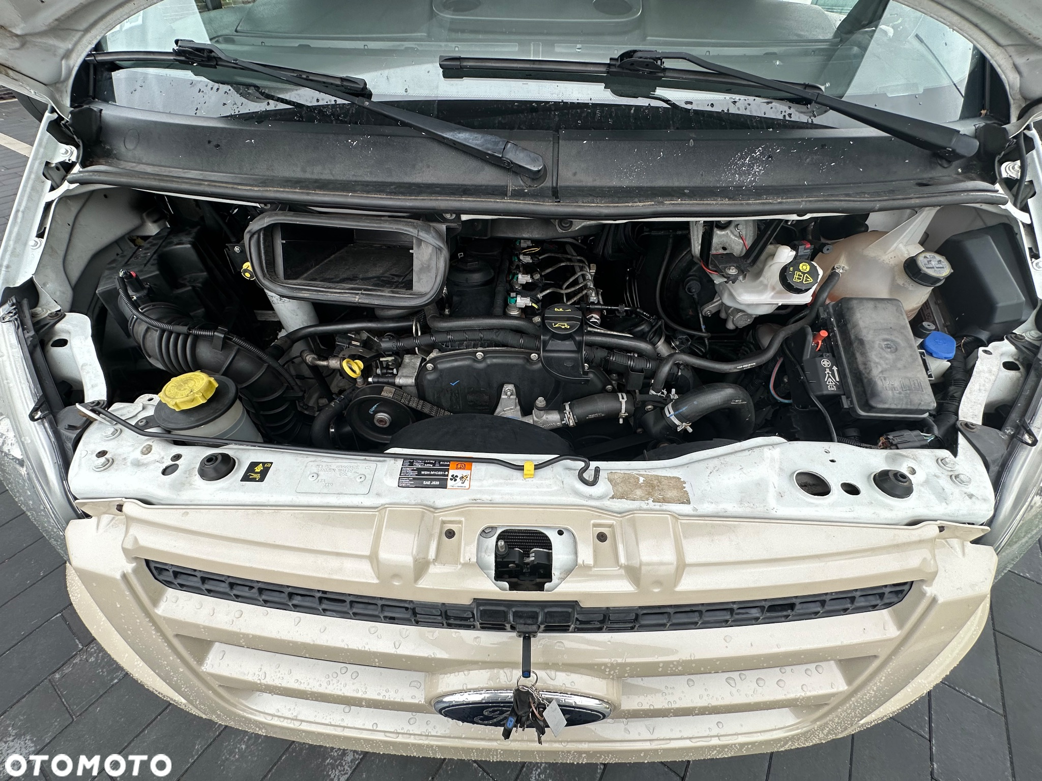 Ford Rimor - 8