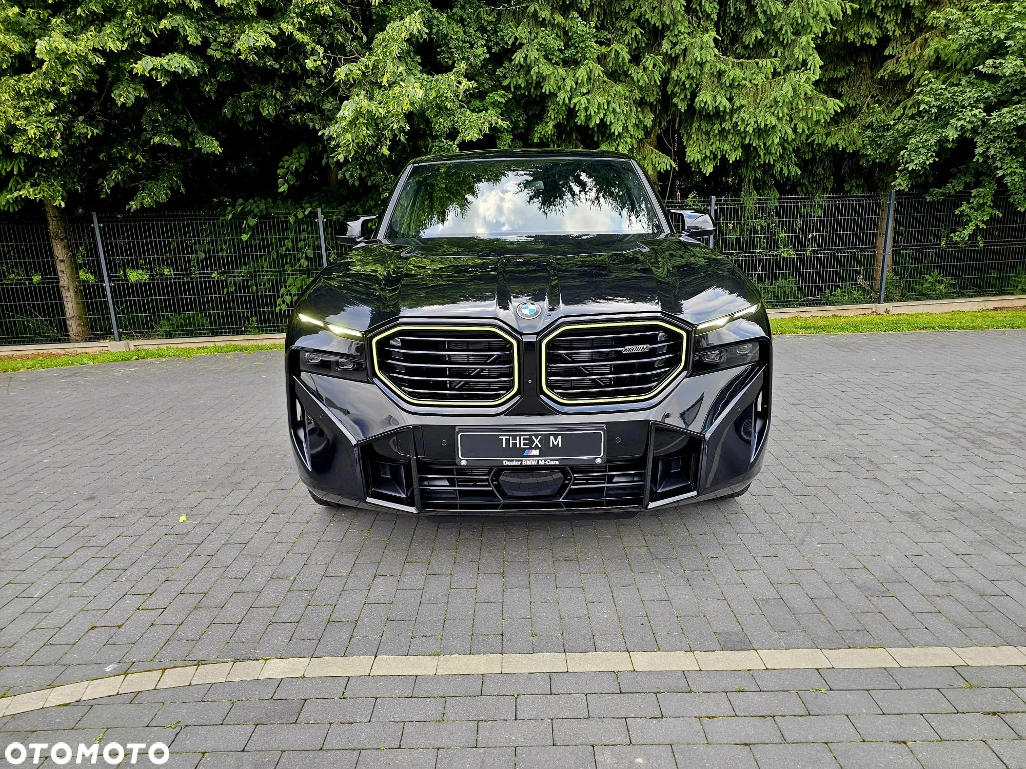 BMW XM - 9