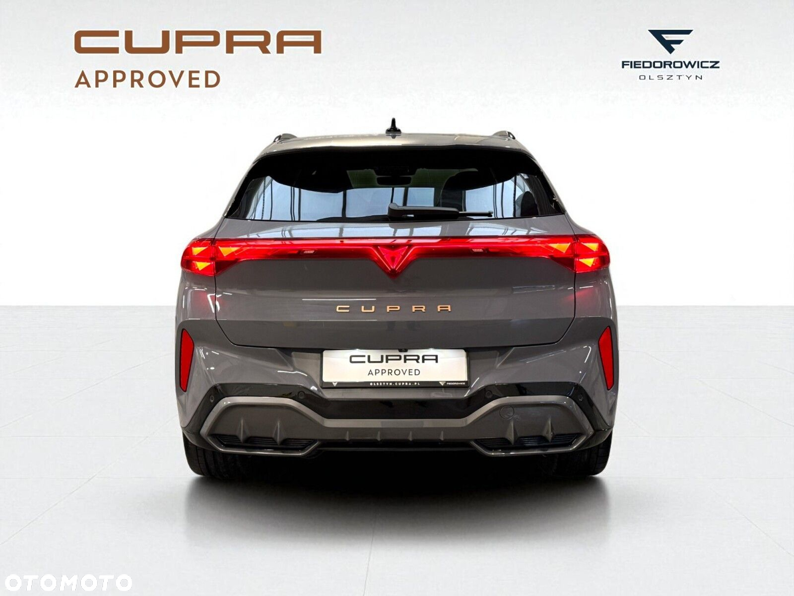 Cupra Terramar 2.0 TSI 4Drive VZ DSG - 6
