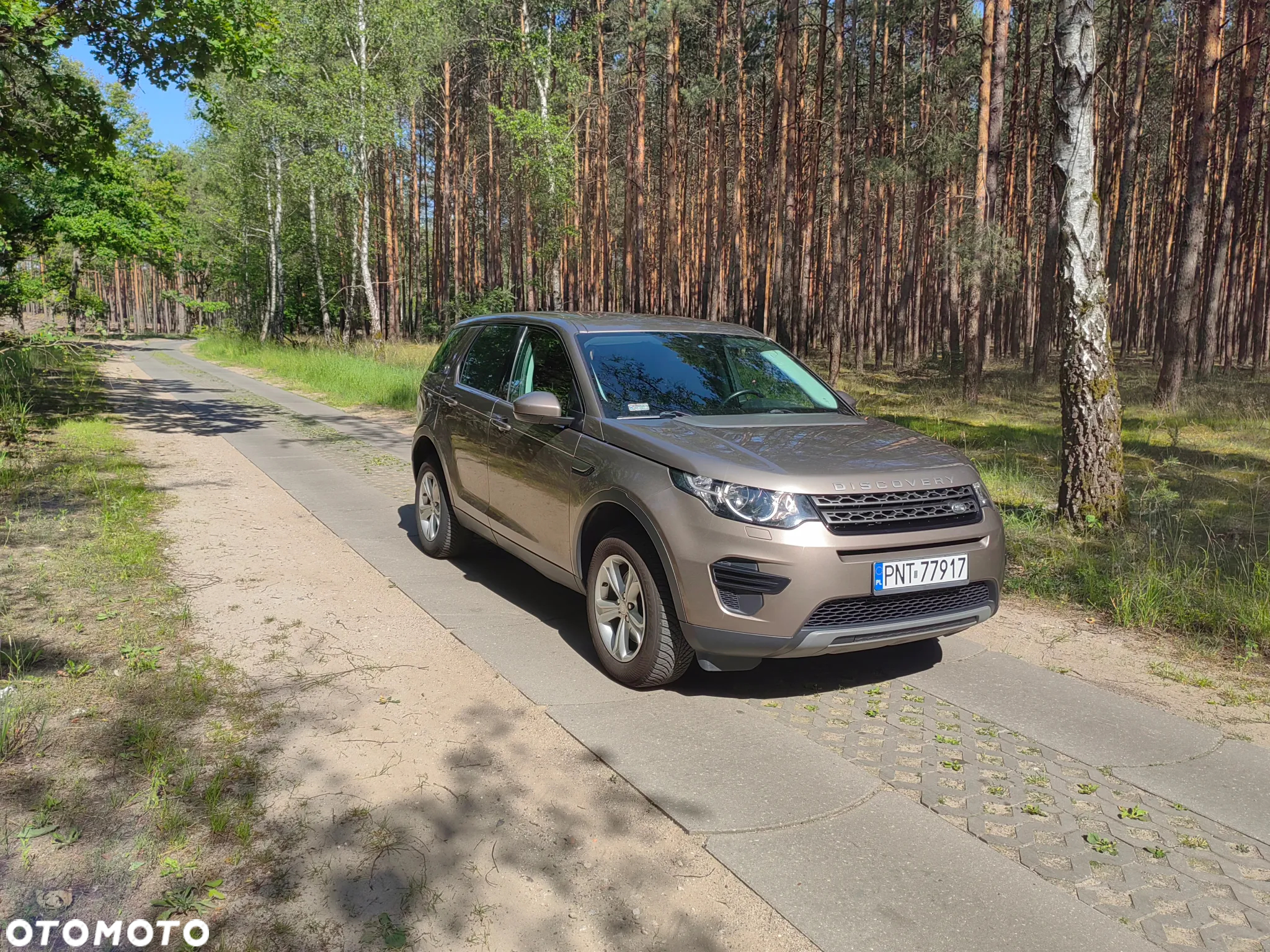 Land Rover Discovery Sport 2.0 TD4 Pure - 17