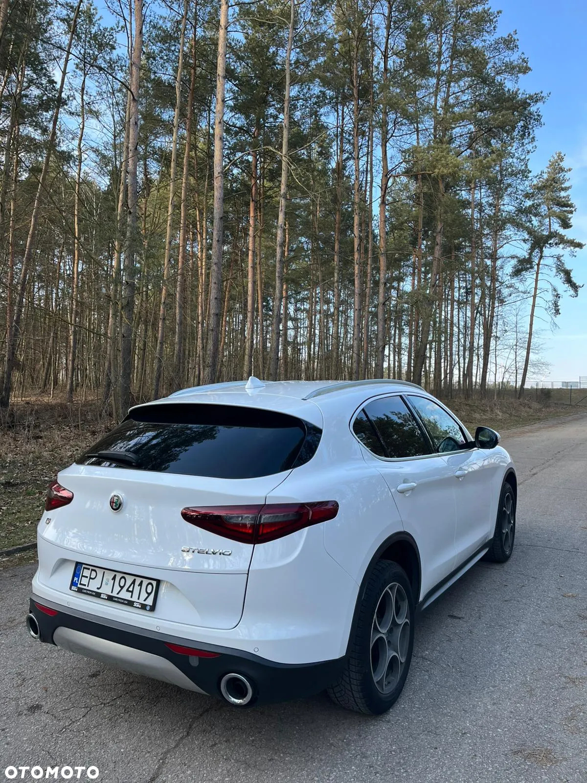 Alfa Romeo Stelvio 2.0 Turbo Executive Q4 - 6