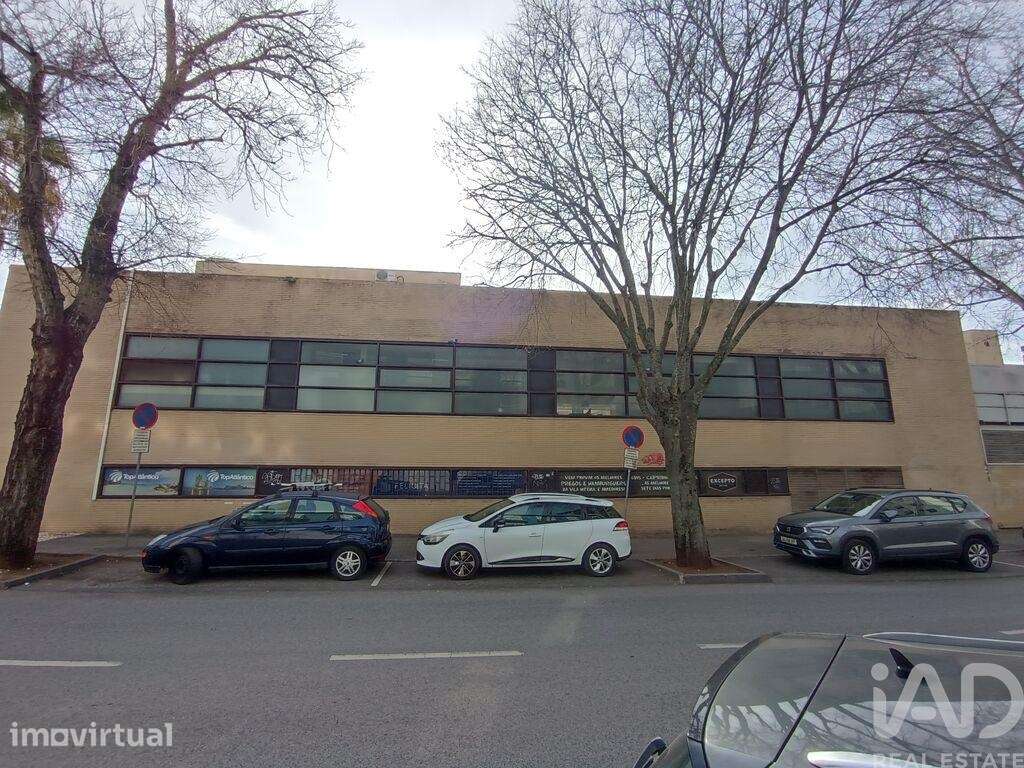 Loja / Estabelecimento Comercial em Carnaxide e Queijas de 384,00 m2