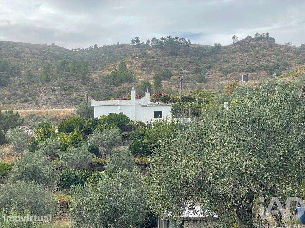 Quinta rural T3 em Carlão e Amieiro de 57566 m2 - Grande imagem: 4/37