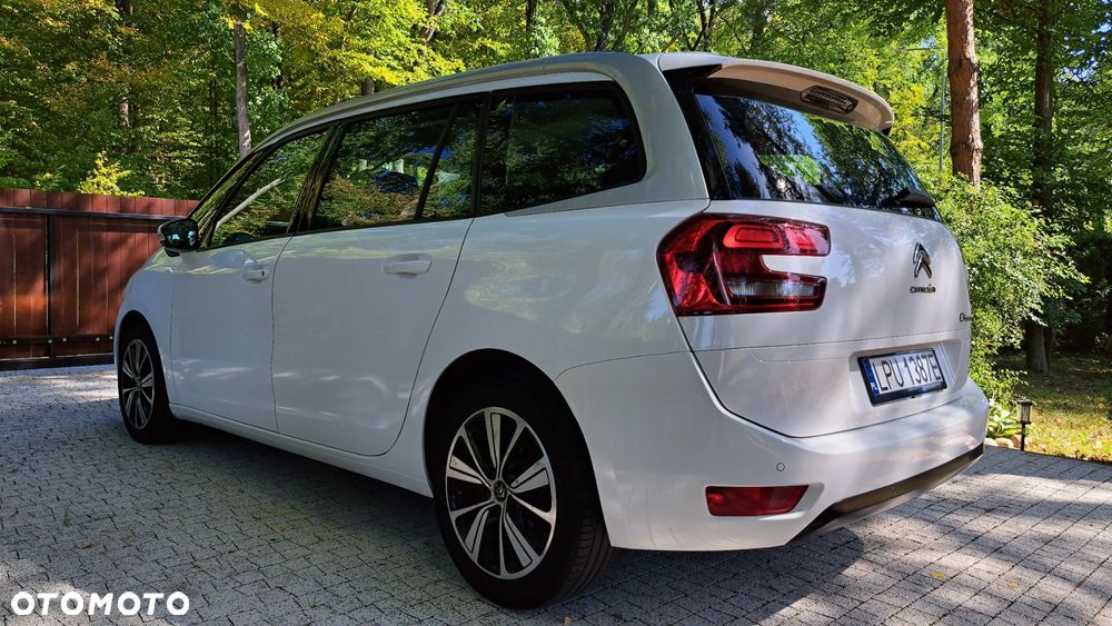 Citroën C4 SpaceTourer 1.5 BlueHDi More Life S&S - 12