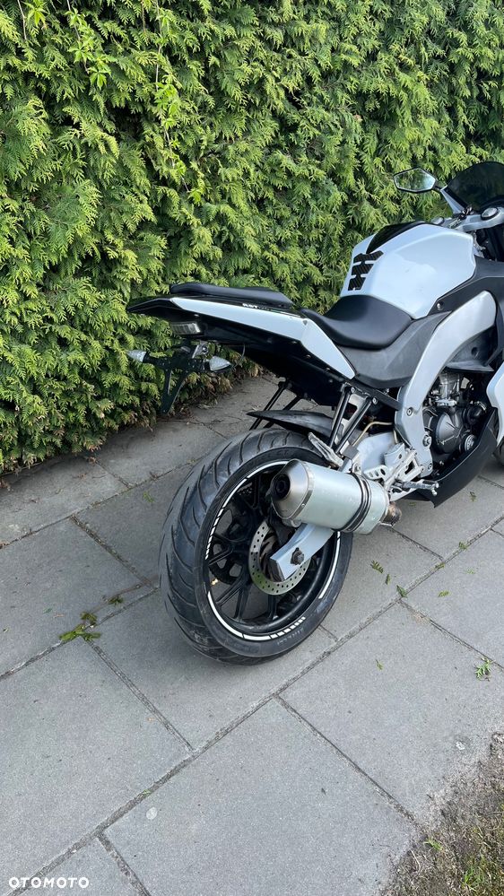 Malaguti RST 125 - 4