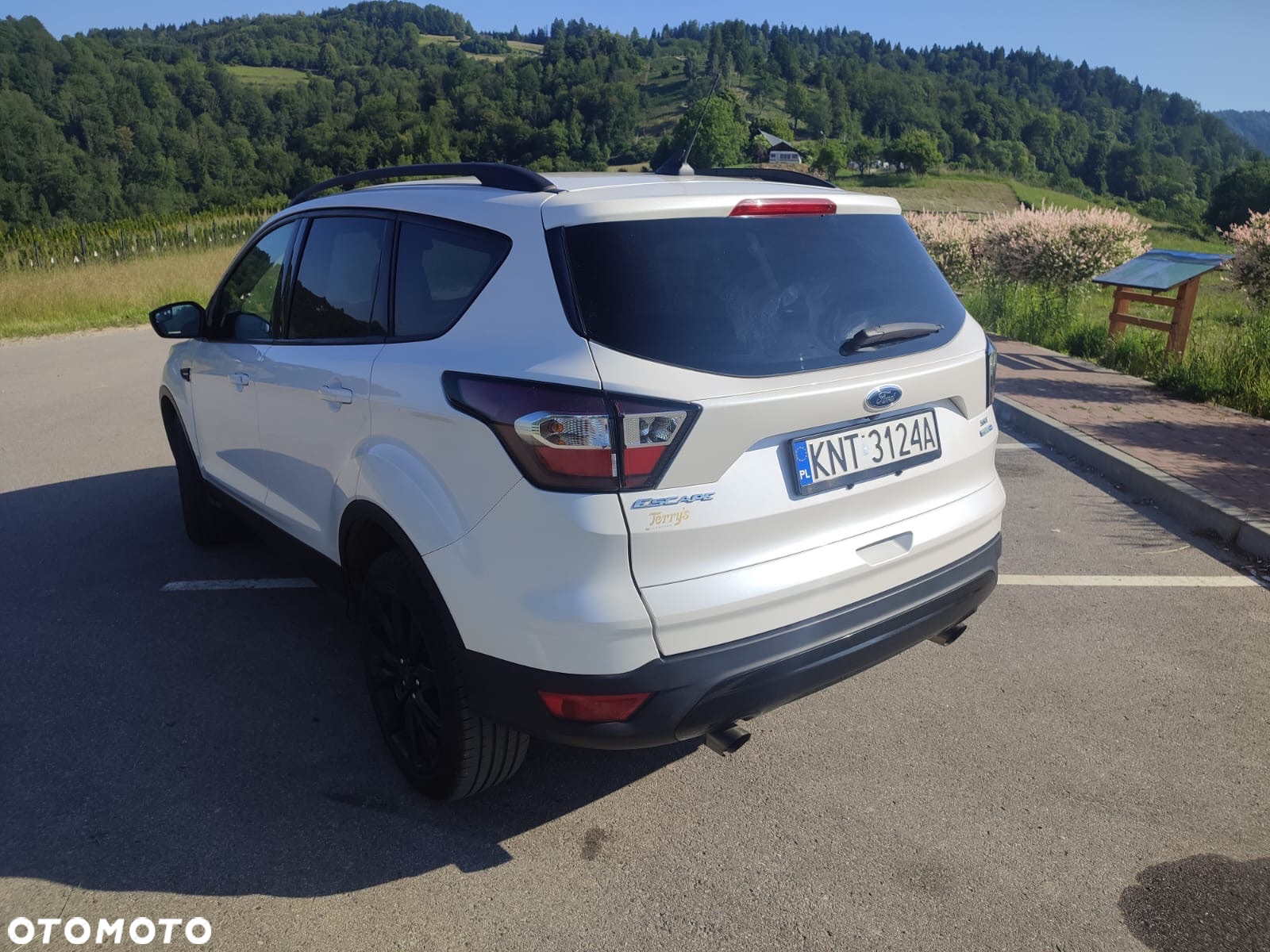 Ford Escape 1.5 EcoBoost AWD SE - 7