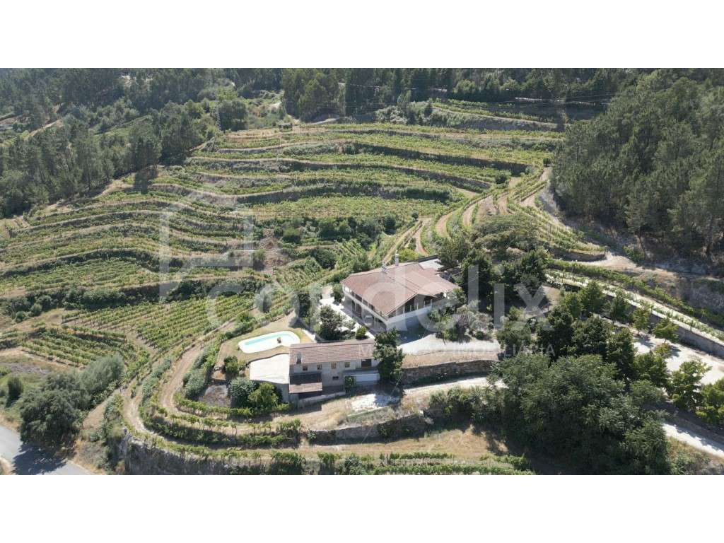 Quinta - Herdade Amarante - Grande imagem: 3/60