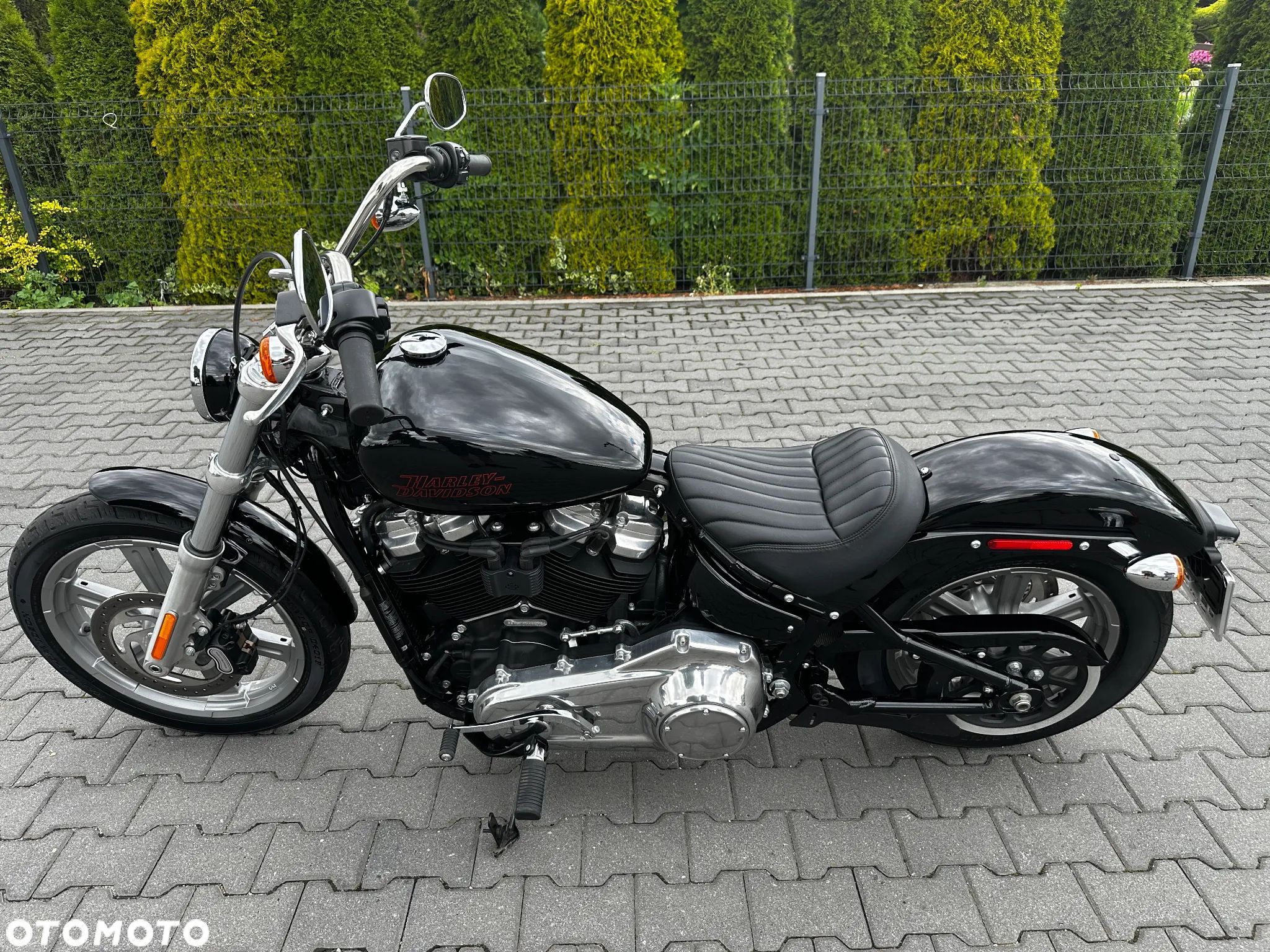 Harley-Davidson Softail Standard - 1