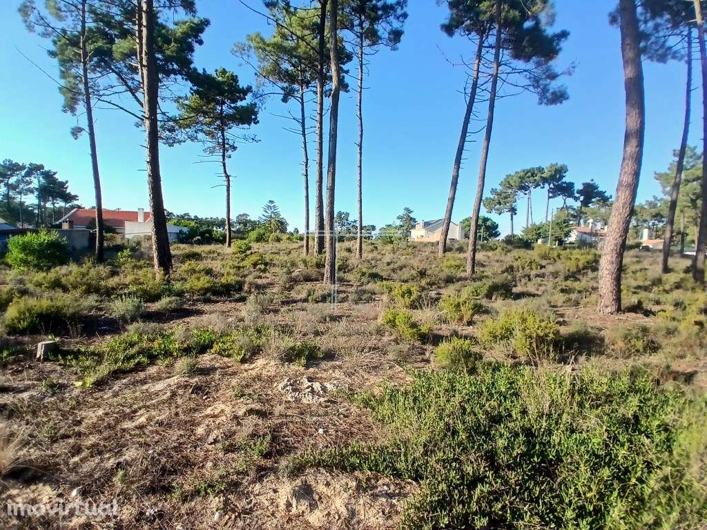 Terreno de 5200m2 - Aroeira, Charneca da Caparica - Grande imagem: 5/13