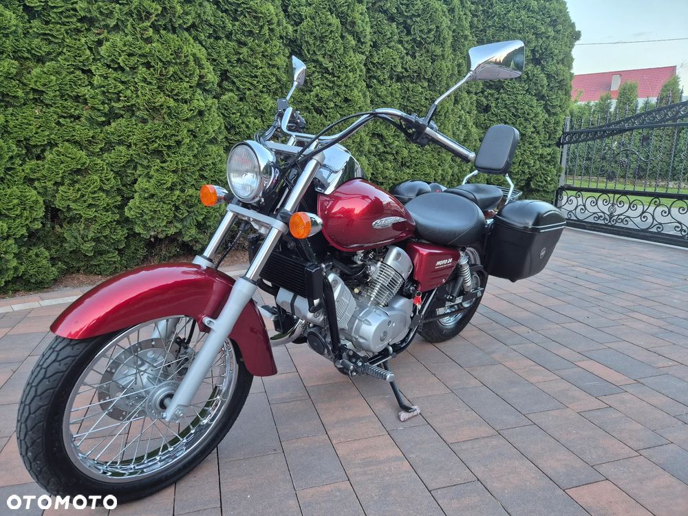 Honda Shadow - 1