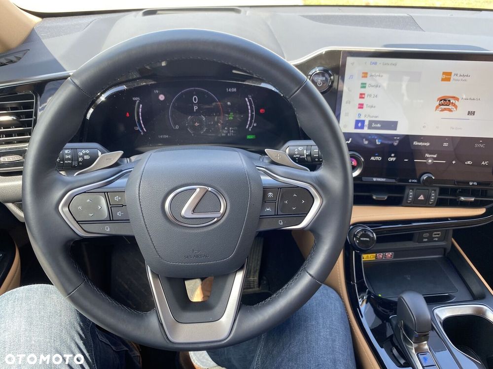 Lexus NX - 10