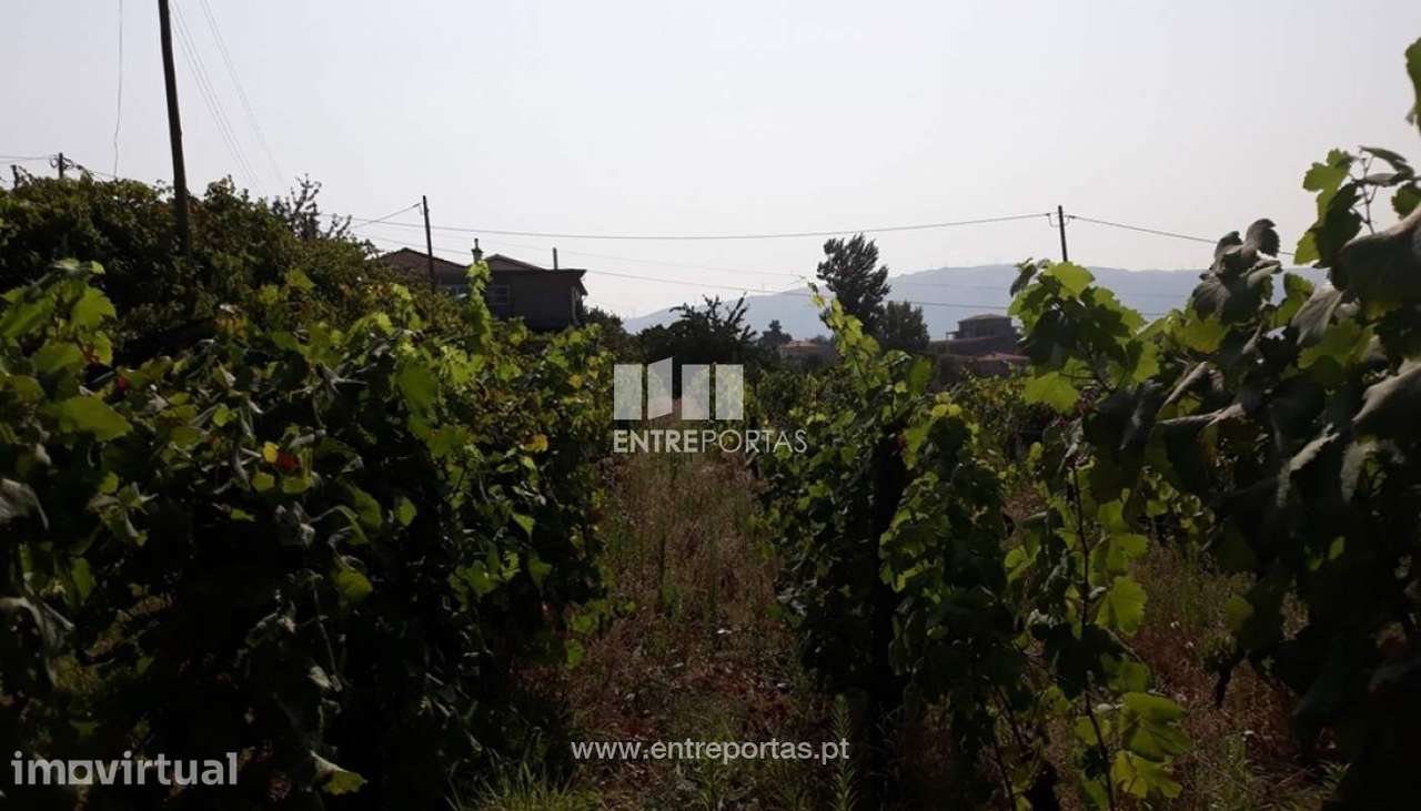 Venda Terreno,Santa Marinha do Zêzere, Baião - Grande imagem: 5/14