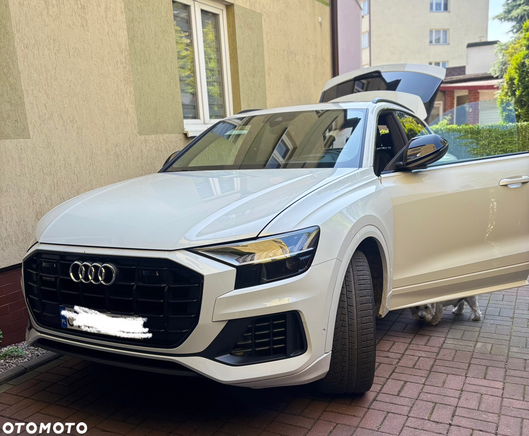 Audi Q8 - 4