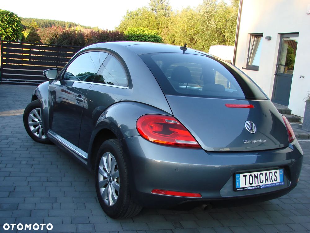 Volkswagen Beetle - 14