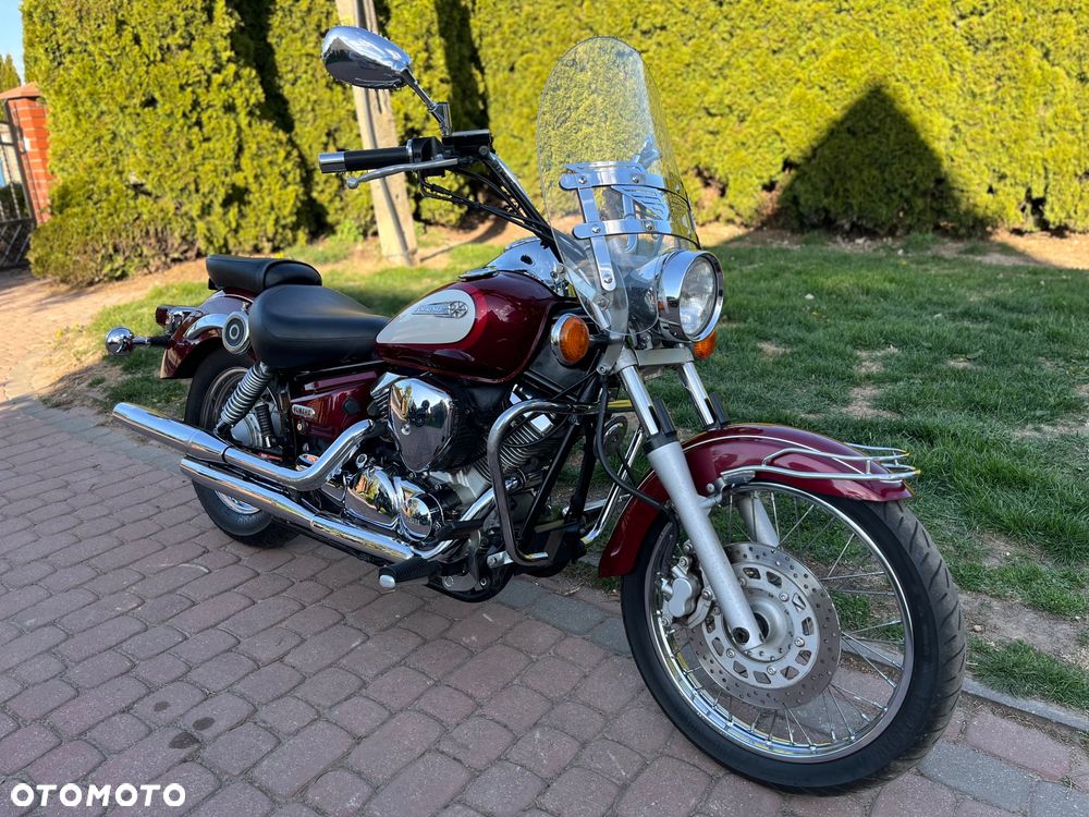 Yamaha Drag Star - 2