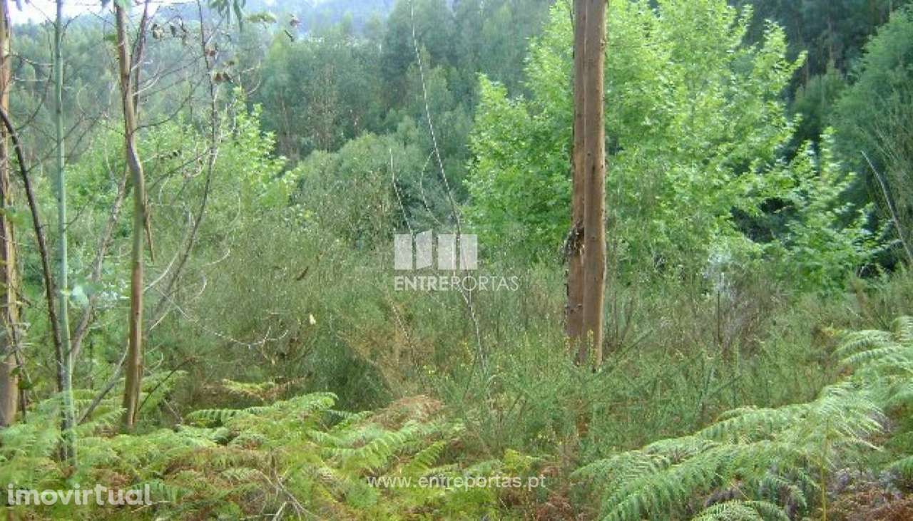 Venda Terreno, Vila Boa de Quires, Marco de Canaveses - Grande imagem: 3/10