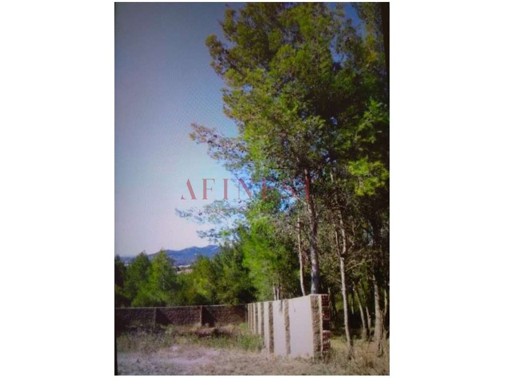 Terreno Urbano para construção em Cascais - Grande imagem: 3/7