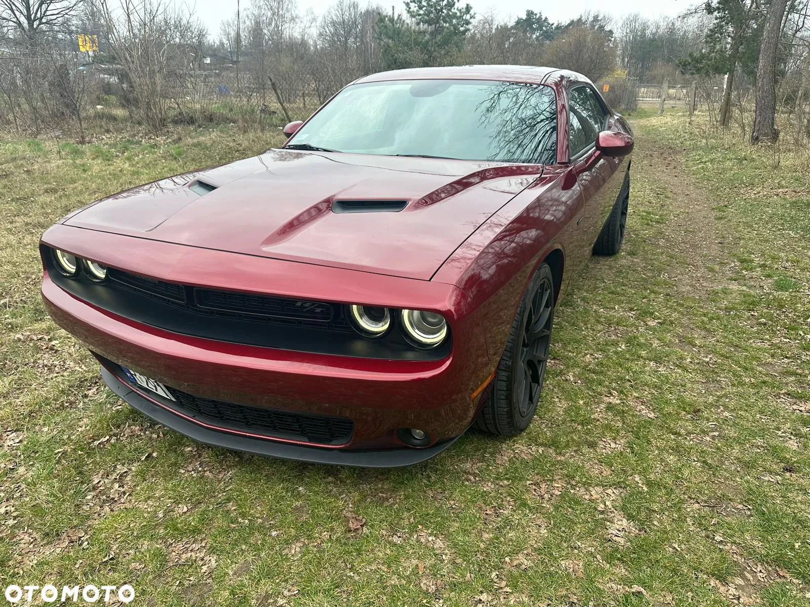 Dodge Challenger Automatik R/T Plus - 20