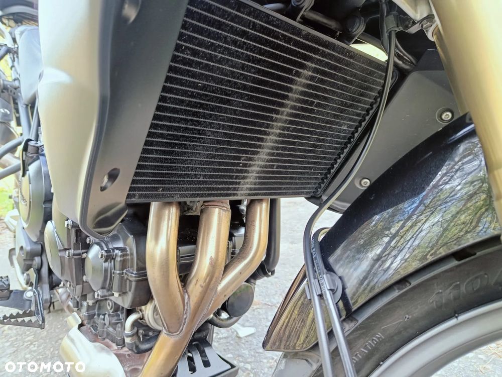 Triumph Tiger - 22
