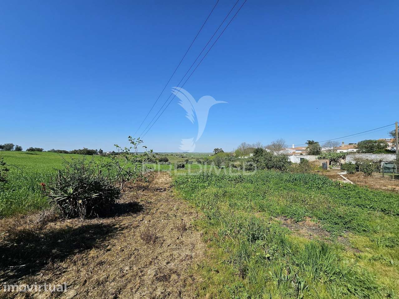 Terreno Rústico com 1,88 hectares em Casével, Castro Verde - Grande imagem: 5/21