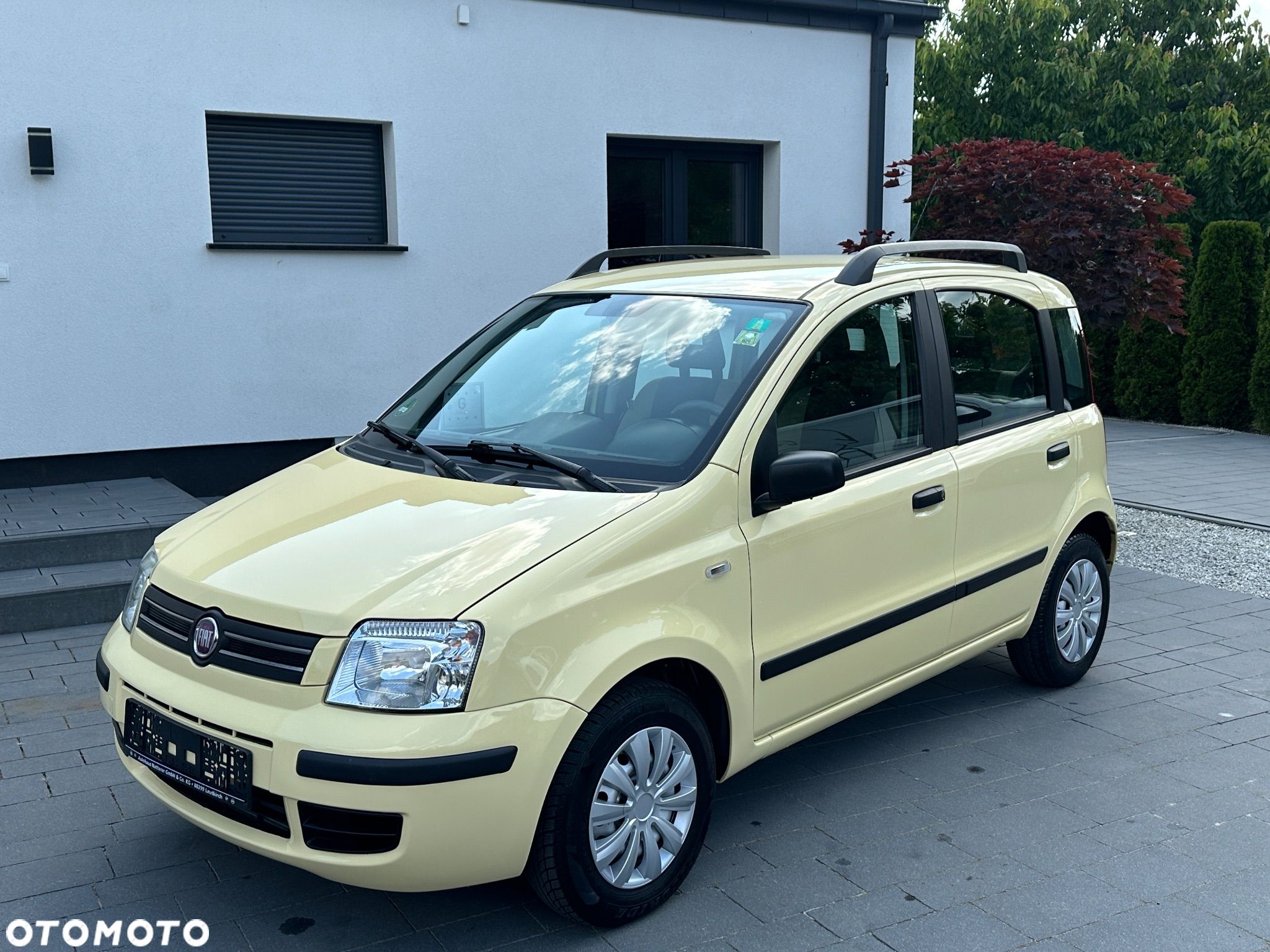 Fiat Panda - 1