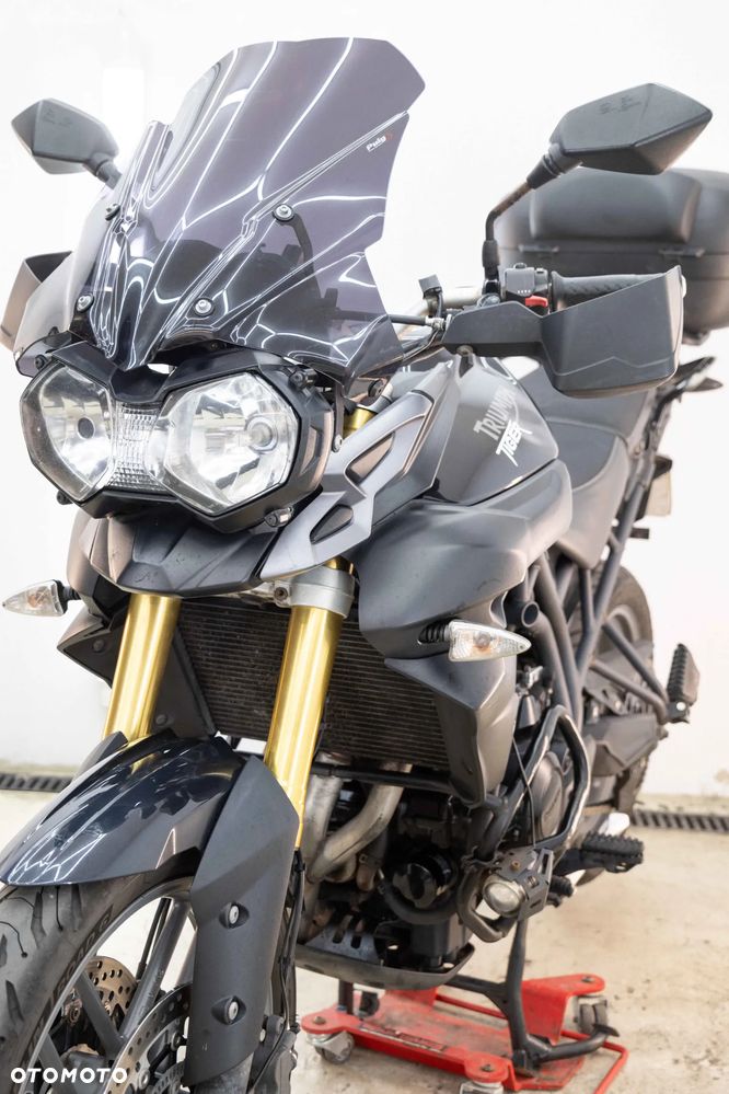 Triumph Tiger - 10