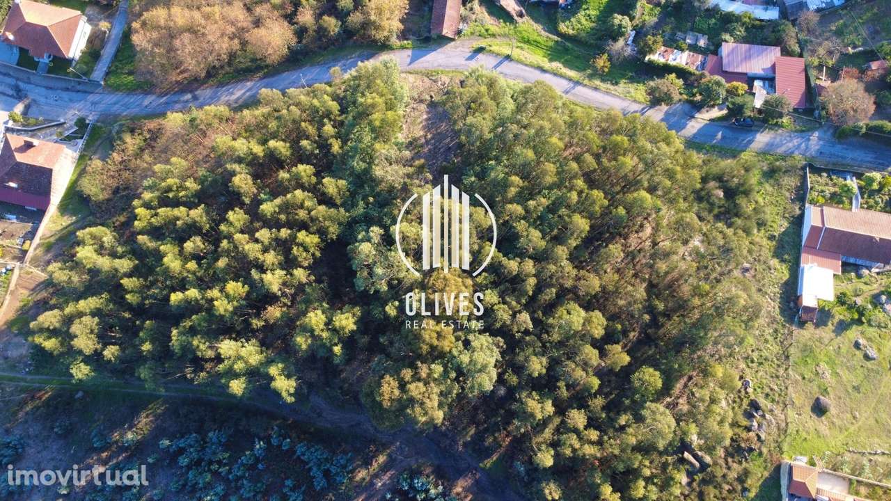 Lote de Terreno  Venda em Airão Santa Maria, Airão São João e Vermil,G - Grande imagem: 4/5