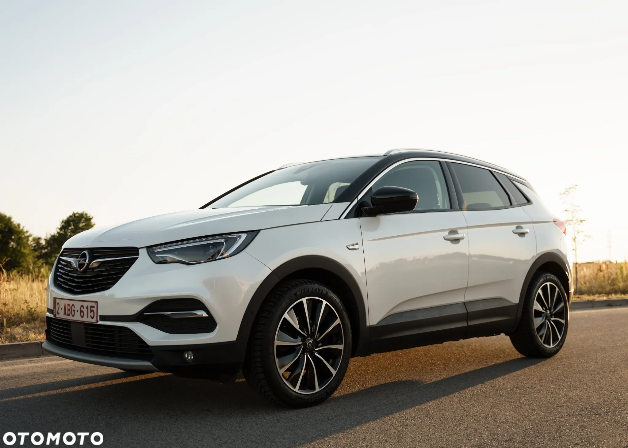 Opel Grandland X 1.5 CDTI Ultimate S&S - 9