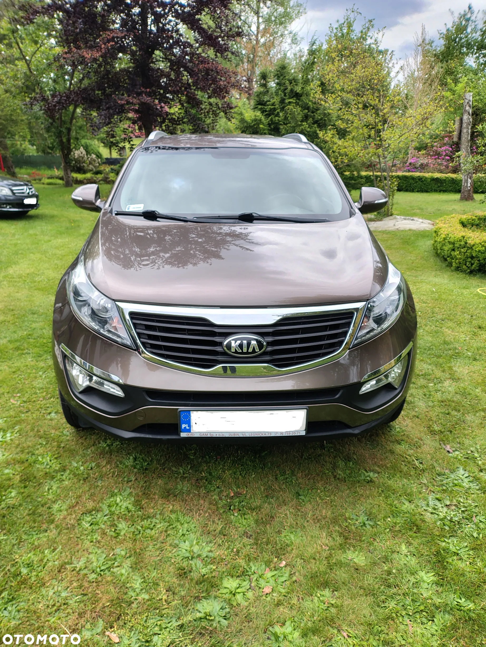 Kia Sportage 1.6 GDI L 2WD - 5