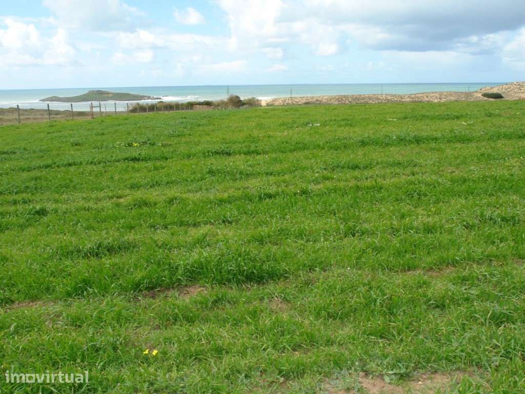 Terreno - Ilha do Pessegueiro - Grande imagem: 3/5