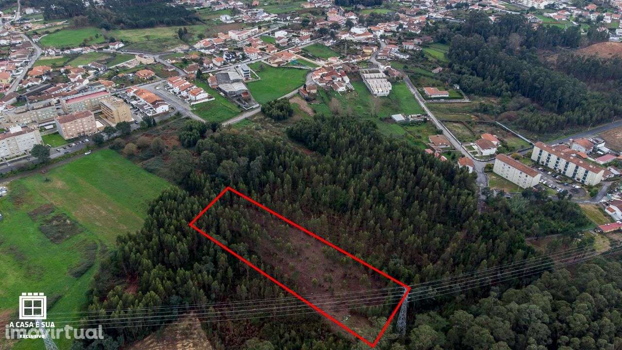 Terreno rústico na Paredinha em Rio Meão - Exclusivo - Grande imagem: 4/9