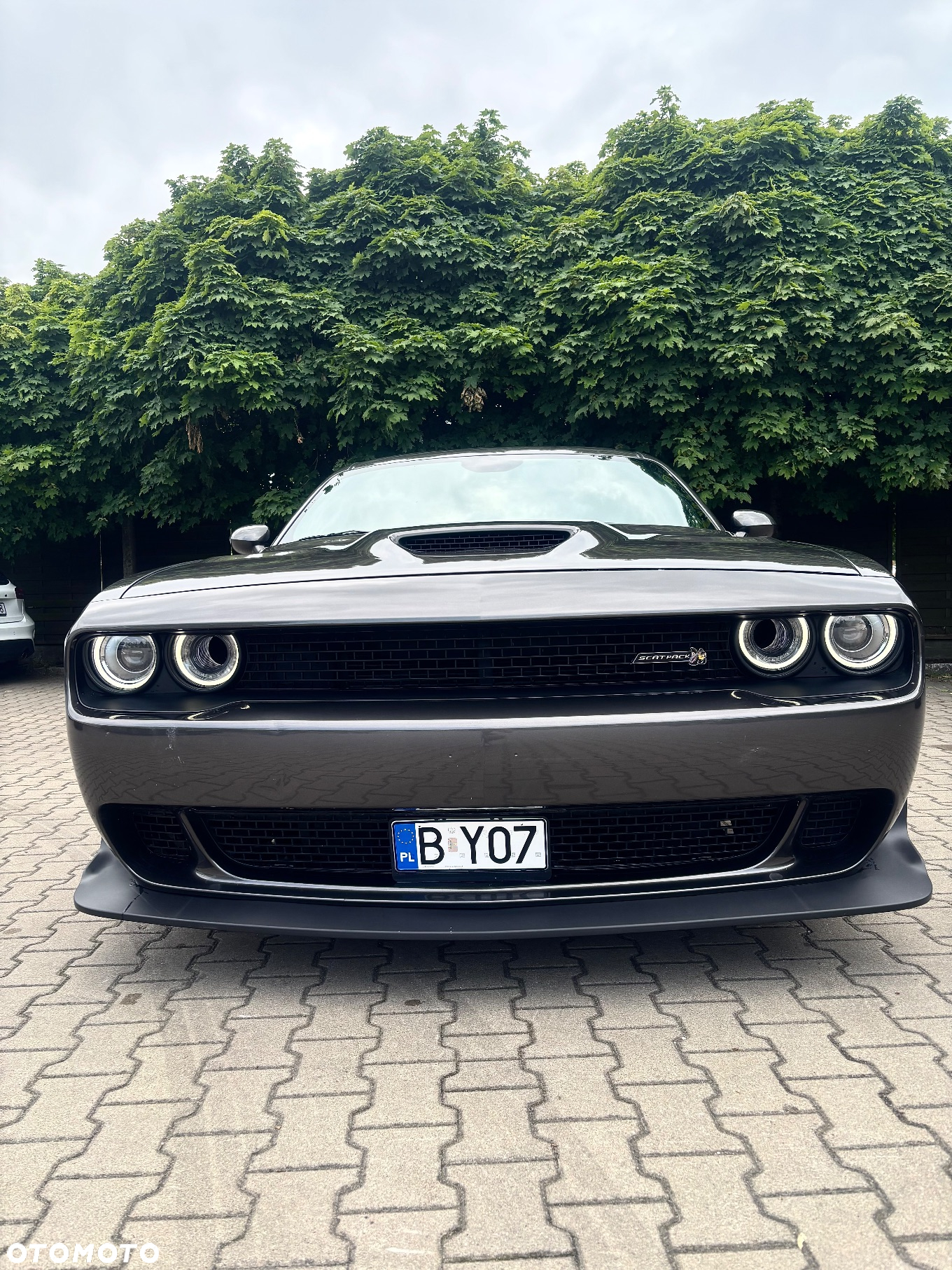 Dodge Challenger 6.4 Scat PackWidebody - 22