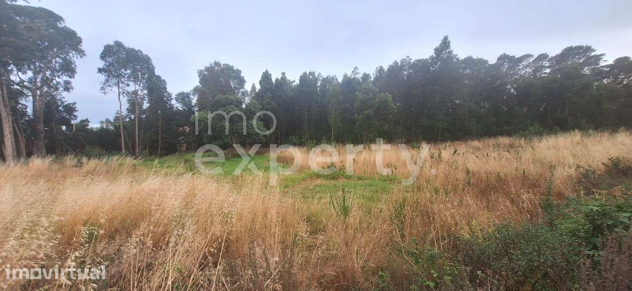 Terreno com 4940 m2 no sítio da Achada Rocha, Gaula, Madeira - Grande imagem: 5/12