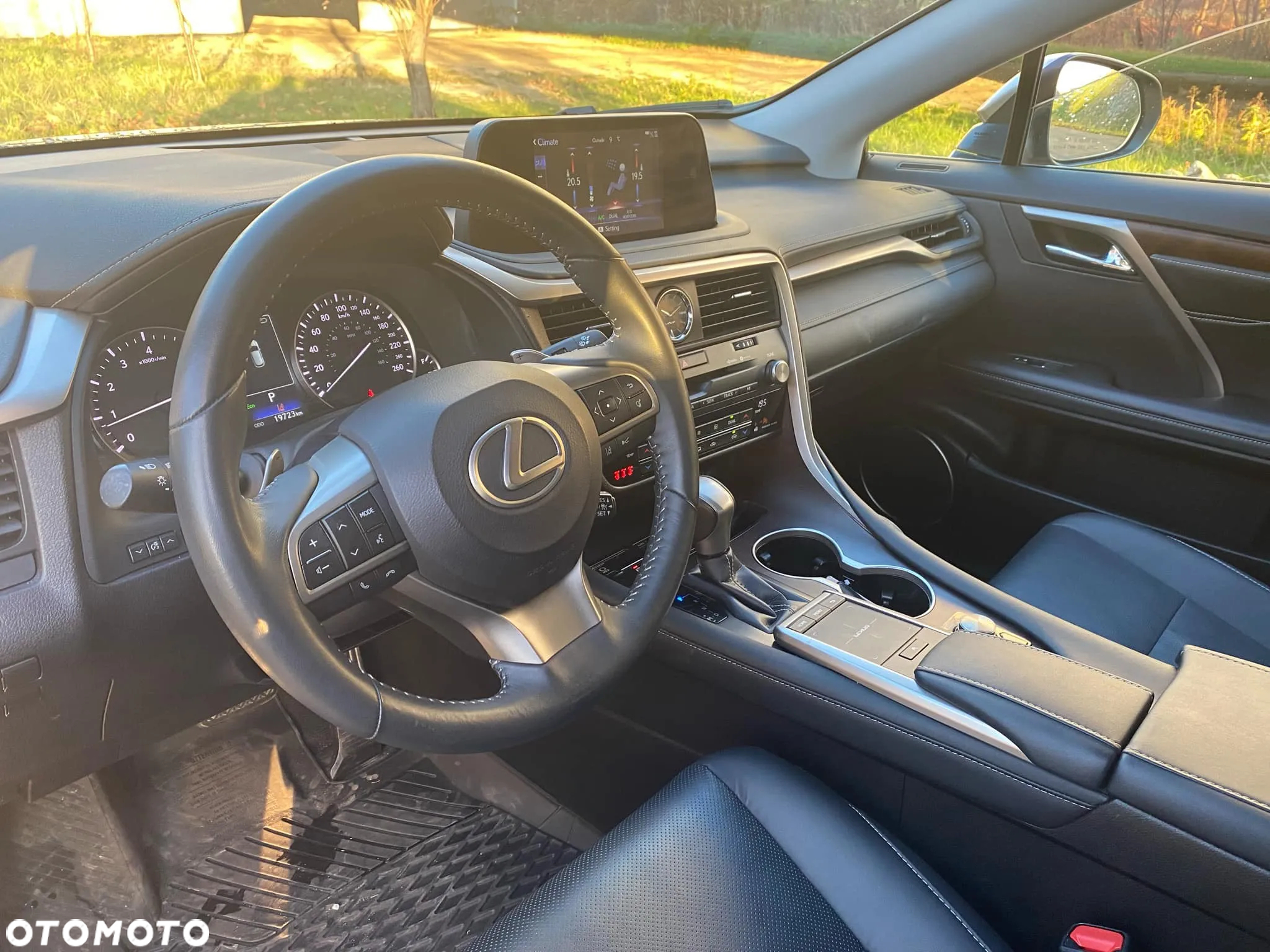 Lexus RX - 14