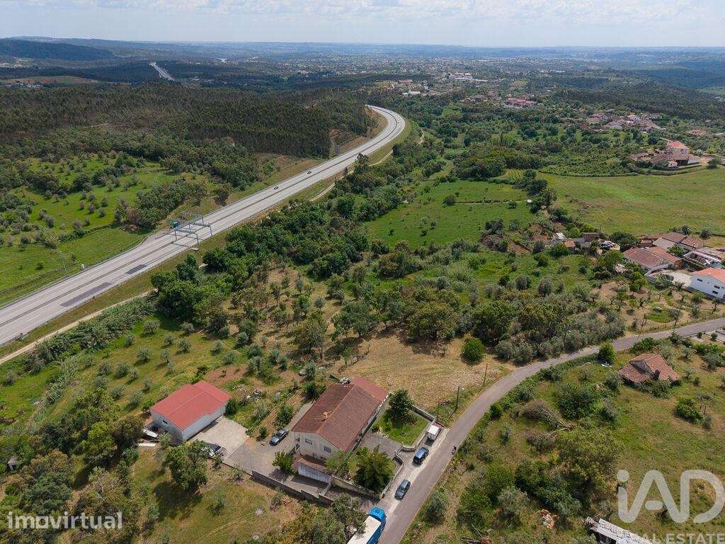 Terreno Agrícola em Casais e Alviobeira - Grande imagem: 4/36