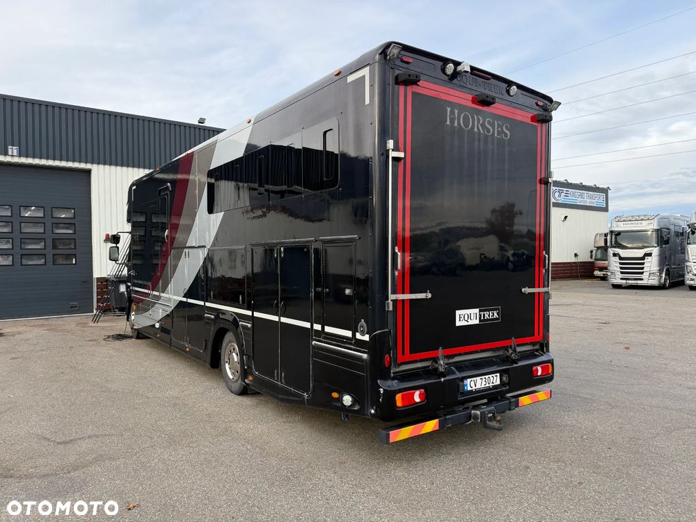 DAF Equitrek Koniowóz, Pop-out - 4