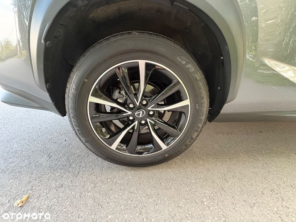 Lexus NX - 17