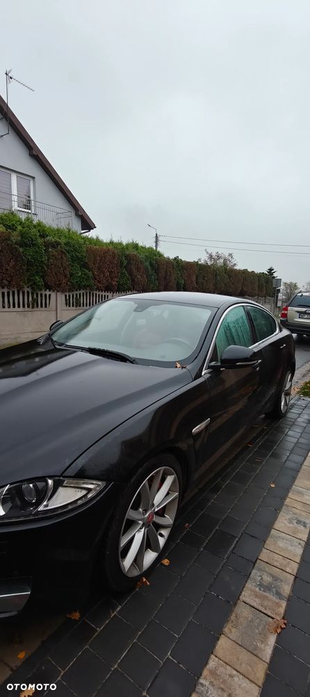 Jaguar XF 3.0 V6 D S Premium Luxury - 14