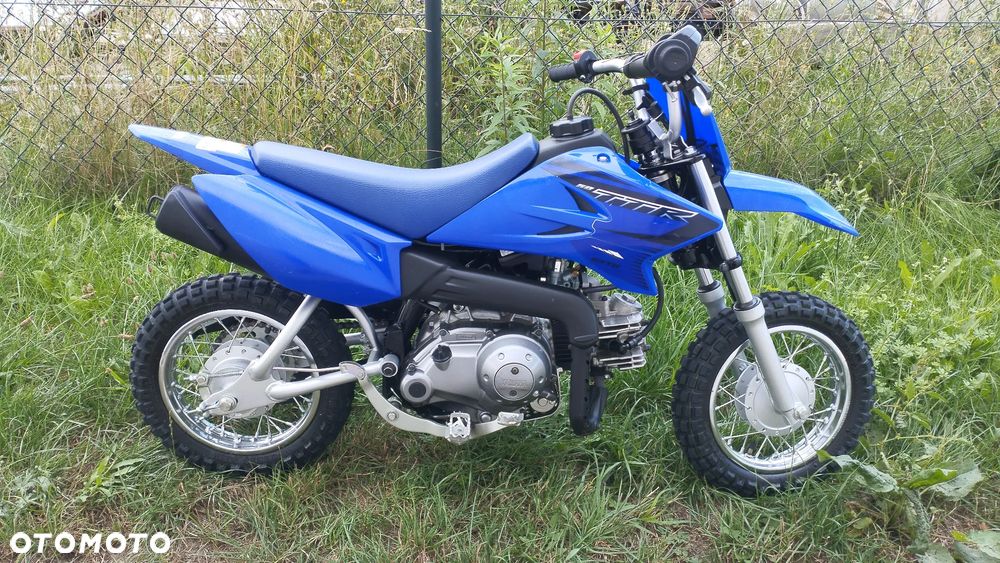 Yamaha TTR - 3