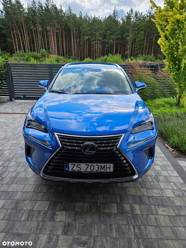 Lexus NX 300 Elegance Optimum AWD - 5