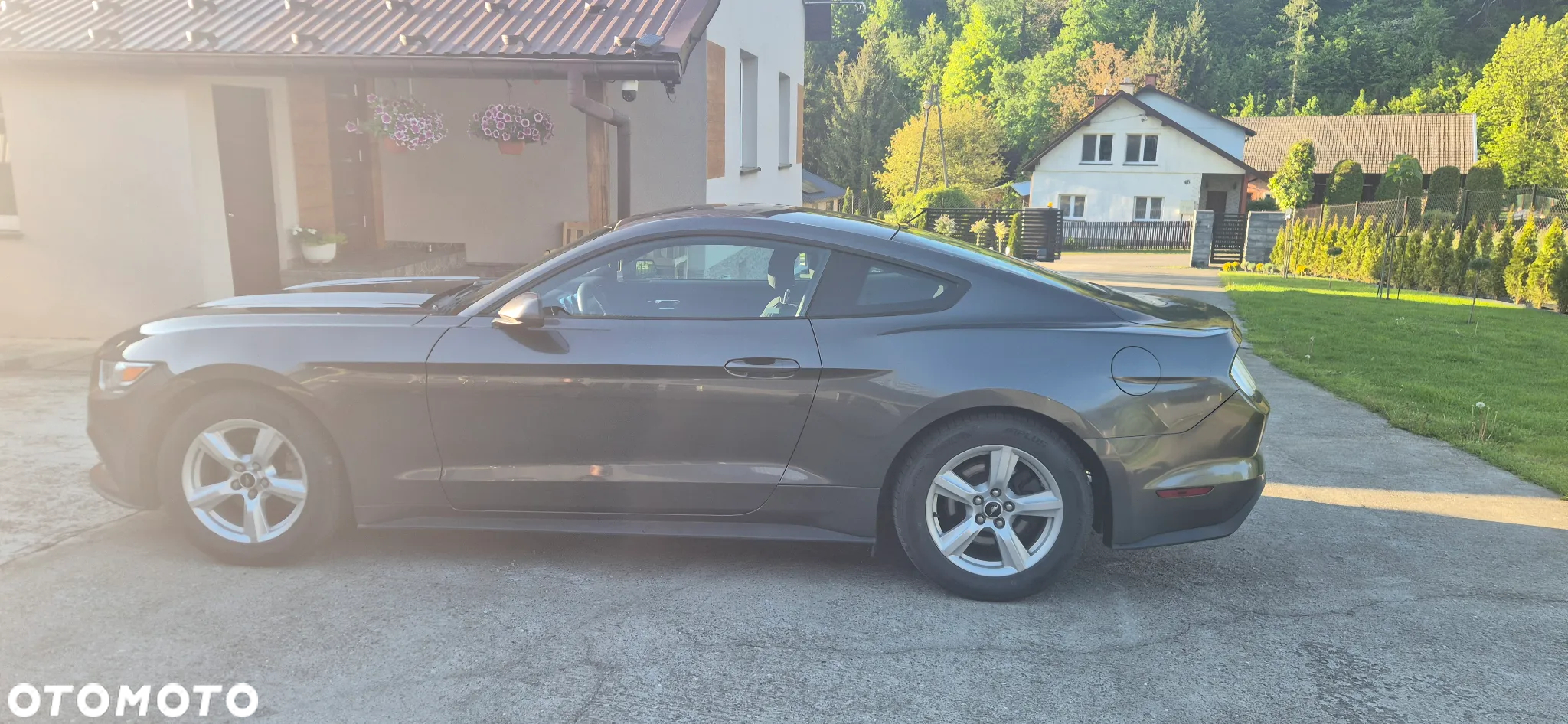 Ford Mustang - 13